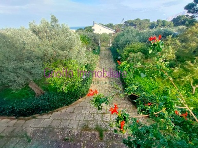 Foto Villa unifamiliare a Valderice Centro di 90 m² con 3 locali in affitto