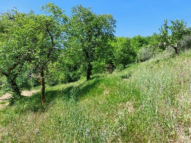 Foto Terreno agricolo a Borgo a Mozzano di 5640 m² in vendita