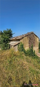 Foto Cessione attività a Poggibonsi Centro di 818 m² con 12 locali