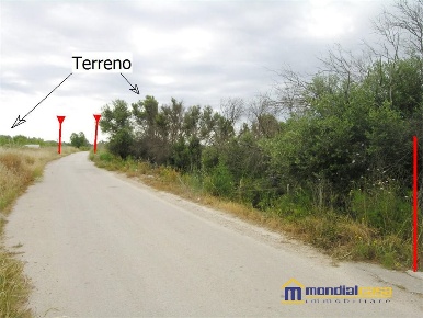 Foto Terreno a Noto Centro di 56515 m² in vendita