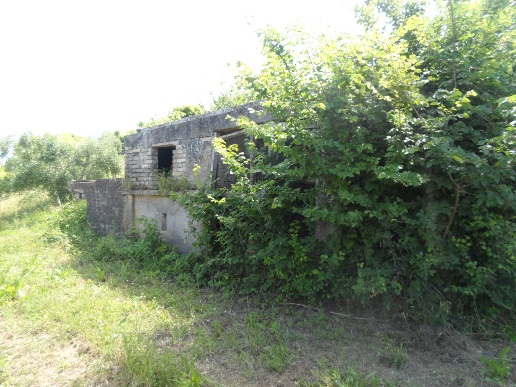 immagine annuncio 5 di 13