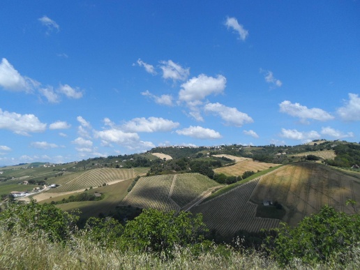 immagine annuncio 6 di 13