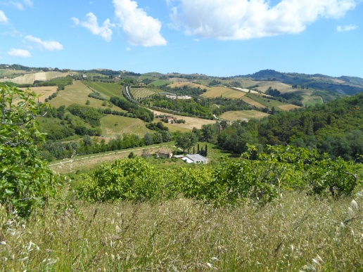 immagine annuncio 8 di 13