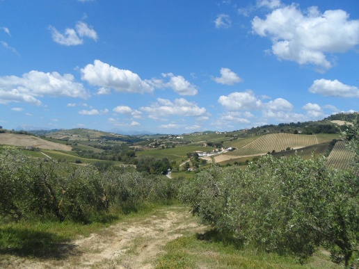 immagine annuncio 10 di 13