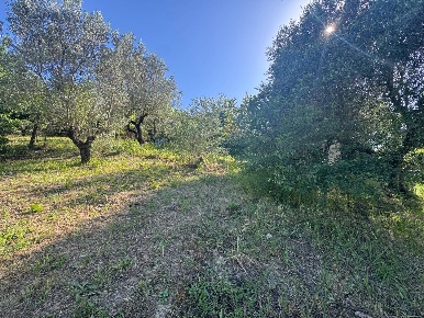 Foto Terreno residenziale in Largo Gran Sasso 29, Monterotondo di 2000 m²
