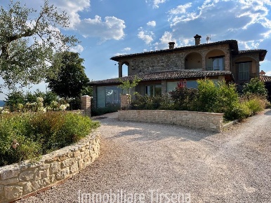 Foto Cessione attività a San Venanzo di 3370 m² con 20 locali in vendita