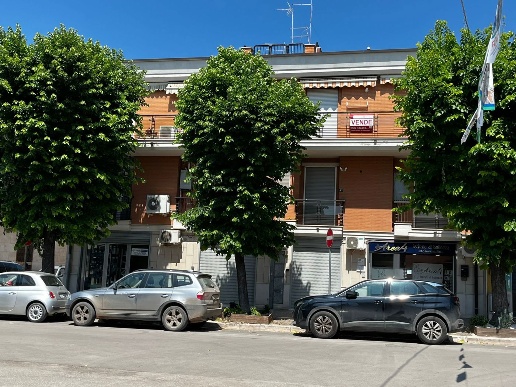 immagine annuncio 11 di 12