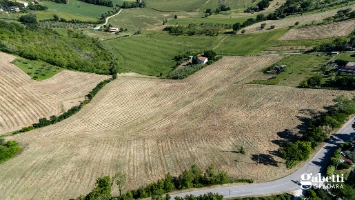 Foto Terreno agricolo in Via Tavullia snc, Gradara di 35000 m² in vendita