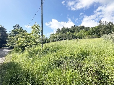 Foto Terreno agricolo a Città di Castello di 1990 m² in vendita
