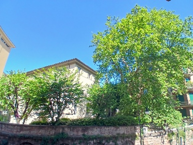 Foto Appartamento in Via Matteo Pescatore 2, Torino Giardini Reali