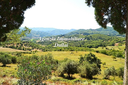 Foto Rustico in Località Boccagnello, Vicchio di 337 m² con 8 locali