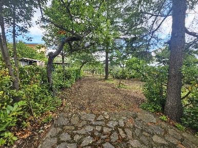 Foto Terreno residenziale a Foglianise Centro di 2100 m² in vendita