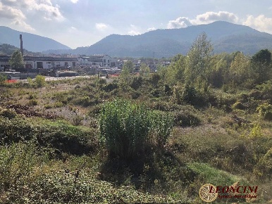 Foto Bar in Località Ragnaia, Aulla Centro di 21409 m² in vendita