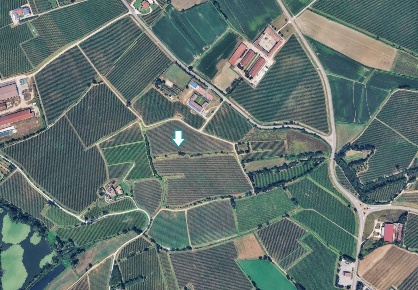 Foto Terreno agricolo a Pozzolengo in vendita
