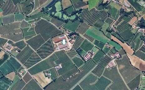 Foto Capannone industriale a Pozzolengo di 900 m² con 1 locali in vendita