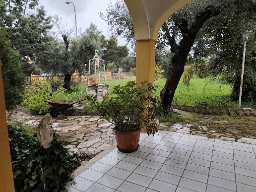 immagine annuncio 3 di 14