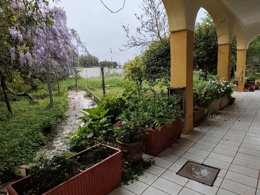immagine annuncio 6 di 14