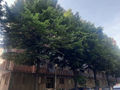 Foto Appartamento in Via Rigola 12, Torino Mirafiori Sud - Onorato Vigliani