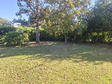 Foto Villa unifamiliare a Numana Villaggio Taunus di 140 m² con 4 locali
