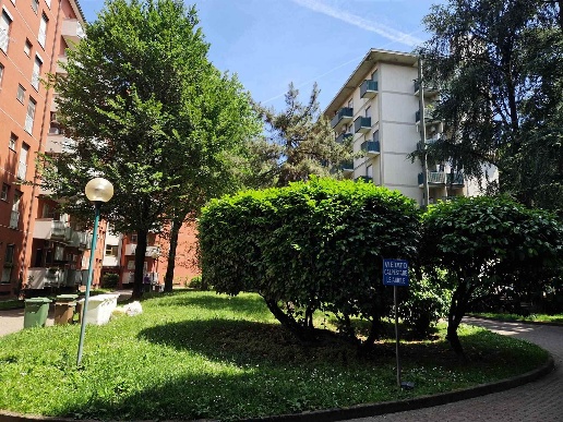 immagine annuncio 11 di 14