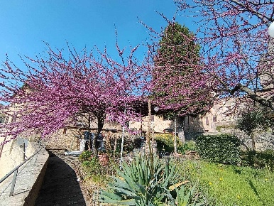 Foto Appartamento a San Gimignano di 70 m² con 4 locali in vendita