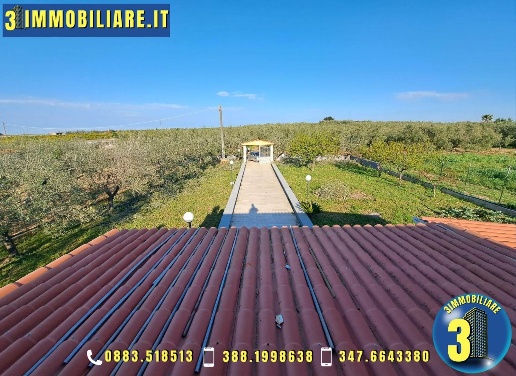 immagine annuncio 10 di 13