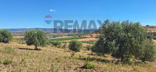 Foto Terreno agricolo in Contrada Casale snc, Noto di 14220 m² in vendita