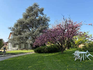 Foto Appartamento in DRUENTO, Pianezza di 130 m² con 5 locali in affitto