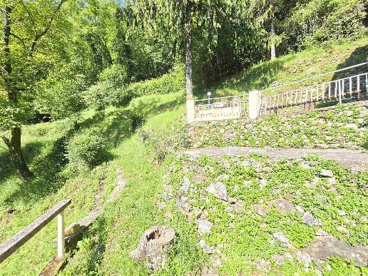 immagine annuncio 5 di 7