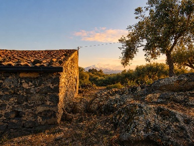 Foto Rustico in Contrada Cangemi, Biancavilla di 841 m² con 14 locali