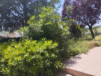 Foto Villa a schiera in CASTELVECCHIO, Monte Porzio Castelvecchio di 260 m²