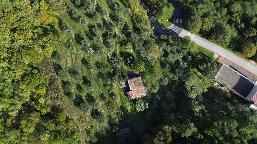 Foto Rustico in Via Fratelli Rosselli snc, Serra San Quirico Centro