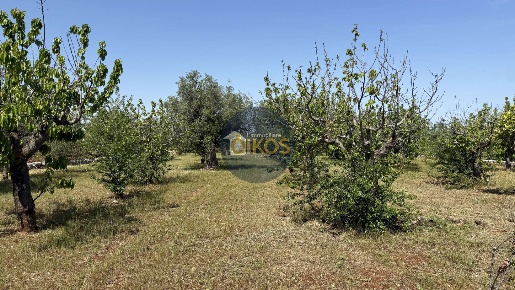 Foto Terreno agricolo in contrada Lamione snc, Polignano a Mare di 3700 m²
