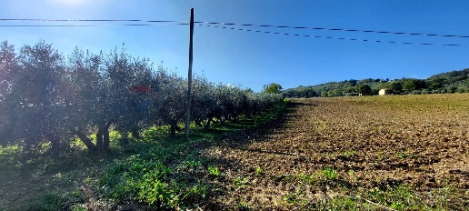 Foto Terreno agricolo in Via Forchiusa Est, Serra San Quirico di 1000 m²