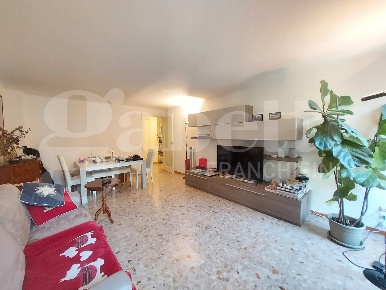 Foto Appartamento in borgo cavour, Treviso Duomo di 50 m² con 2 locali