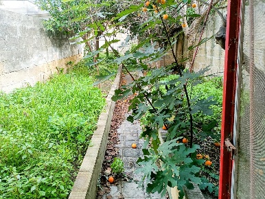 Foto Case semi ndipendenti a Lizzanello Merine di 100 m² con 4 locali