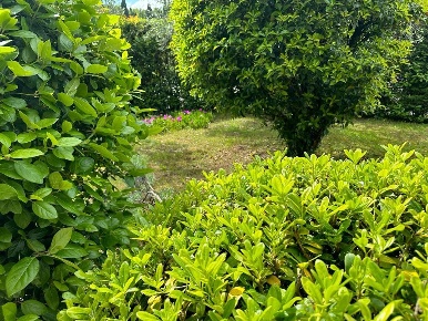 Foto Villa unifamiliare a Cerreto Guidi Bassa di 350 m² con 10 locali