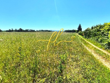Foto Terreno agricolo a Cecina Cecina Centro di 51840 m² in vendita