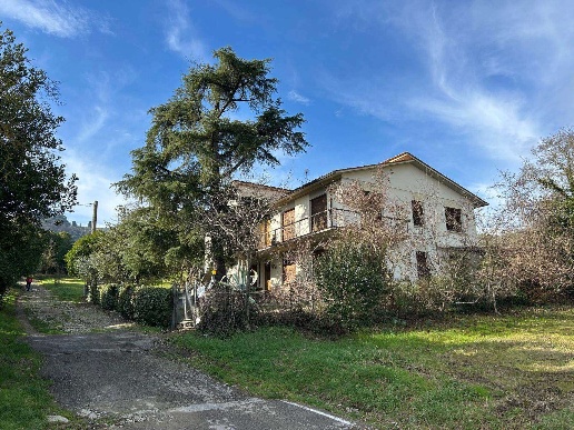 immagine annuncio 2 di 7