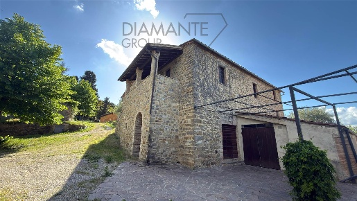 Foto Cessione attività a Montalcino Centro di 770 m² con 11 locali