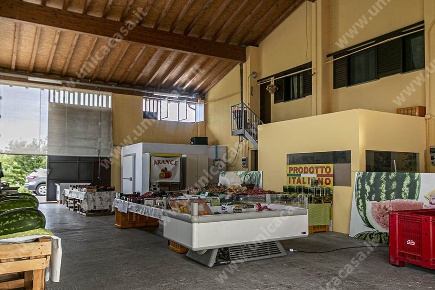 Foto Cessione attività in S.P. 179, Masate di 15280 m² con 12 locali