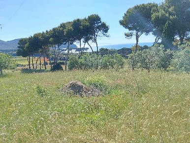 Foto Appartamento a Piombino di 80 m² con 4 locali in vendita