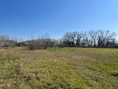 Foto Terreno residenziale a Molinella Frazioni di Molinella di 20000 m²