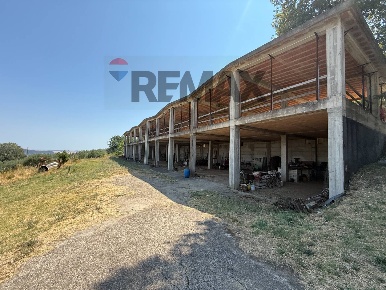 Foto Rustico in via strettolone, Grassano di 8700 m² con 16 locali