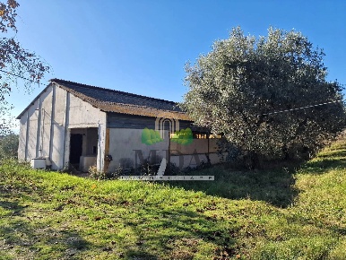 Foto Capannone industriale in Santa Luca, Controguerra Centro di 800 m²