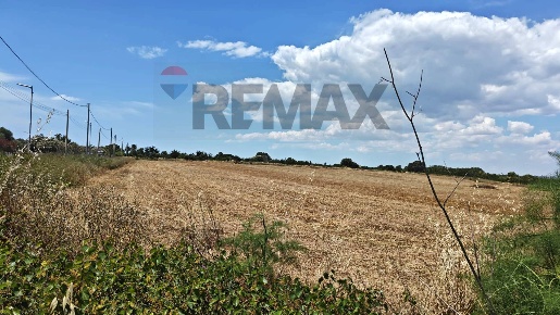 Foto Terreno agricolo in Contrada Baracchino, Noto Fondo Morte di 23827 m²