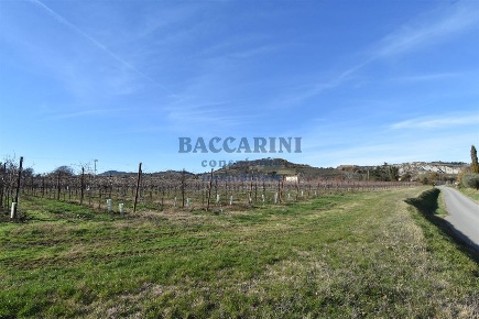 Foto Terreno agricolo in VIA MOLINO DEL ROSSO, Brisighella di 580 m²