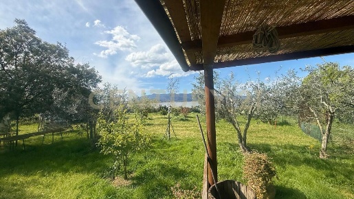 Foto Terreno agricolo in Loc. quattrostrade, Orbetello Stazione - Via Roma