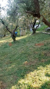 Foto Terreno agricolo in Provinciale di Riola, Pistoia di 1500 m²