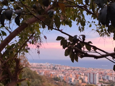 Foto Appartamento in viale dei pioppi  18, Salerno di 210 m² con 9 locali